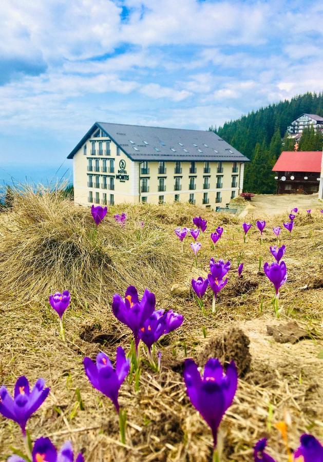 Montis Hotel & Spa Muntele Mic Dış mekan fotoğraf