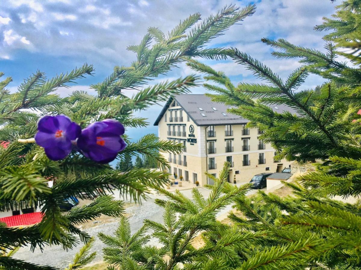 Montis Hotel & Spa Muntele Mic Dış mekan fotoğraf